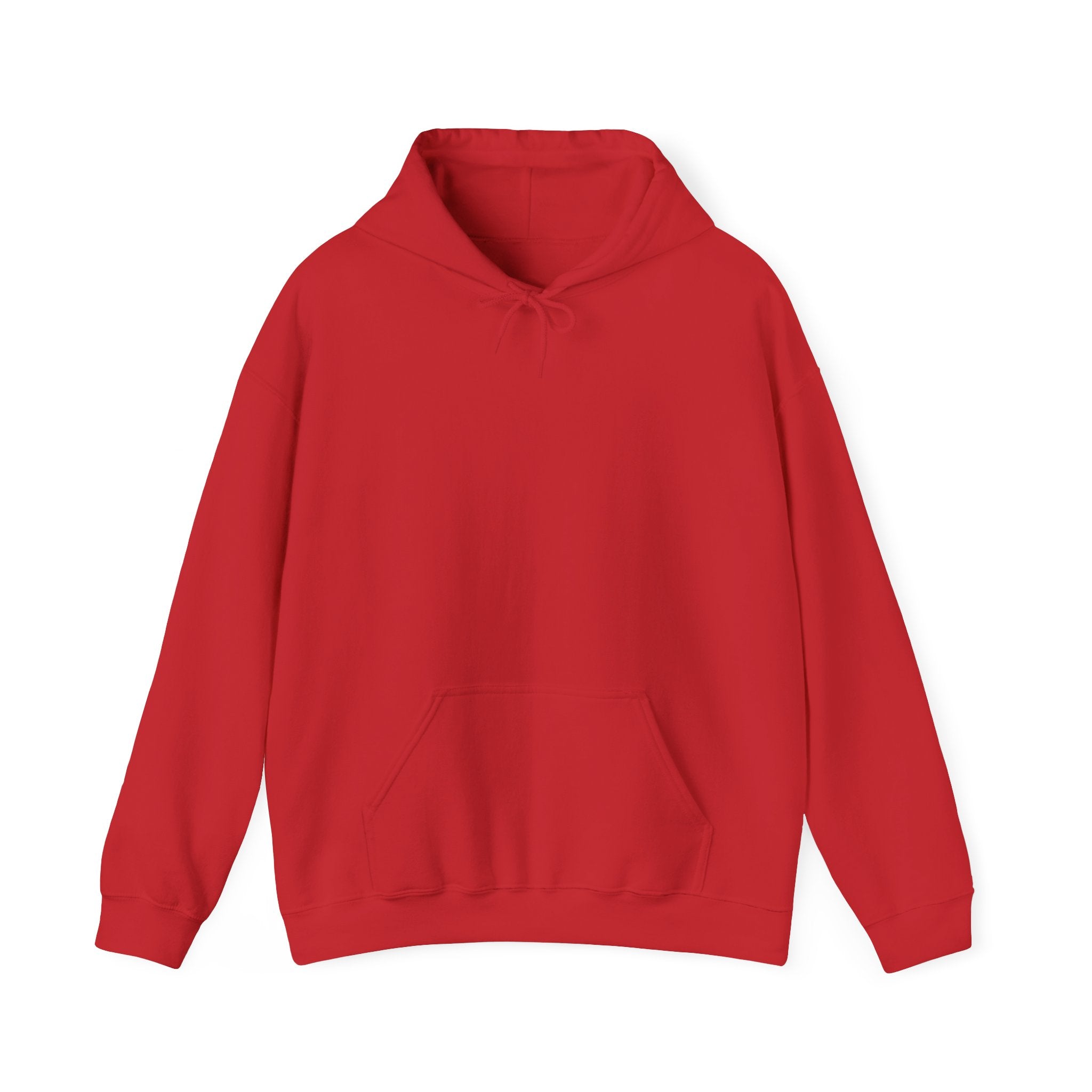 Sprint Car Racing Hoodie — Sprint Kings Graphic Hooded Sweatshirt